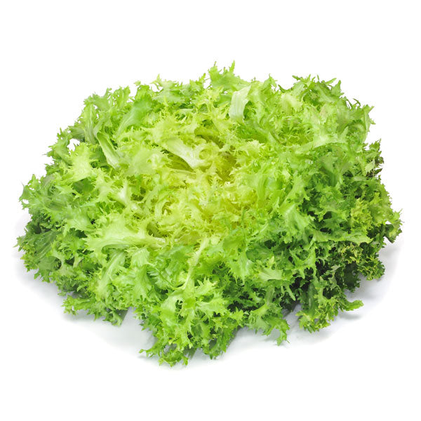 comprar-ESCAROLA CABELLO DE ANGEL ECO-ecologico.